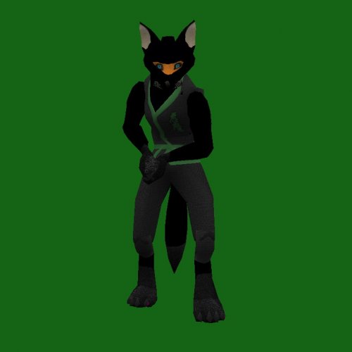 NinjaFox