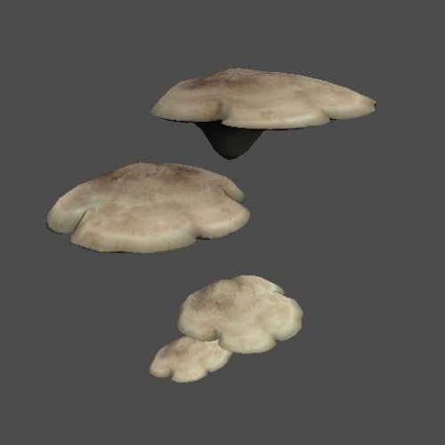 p2_fungus_cluster