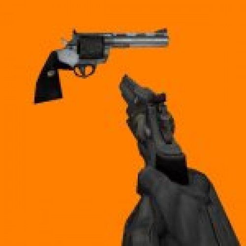 HL2 Python. 357