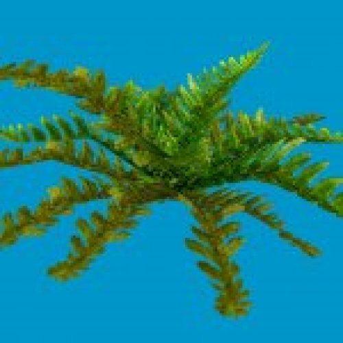 jn hollyfern 01