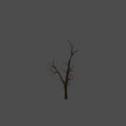 dead_tree04