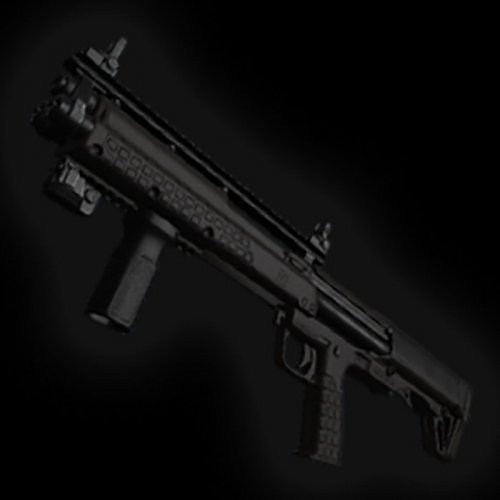 KSG-12