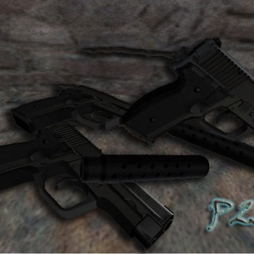 Silenced P228 on -WildBill- anims