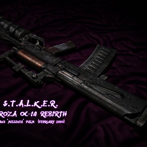 Millenia's STALKER Groza