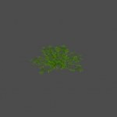 bush03