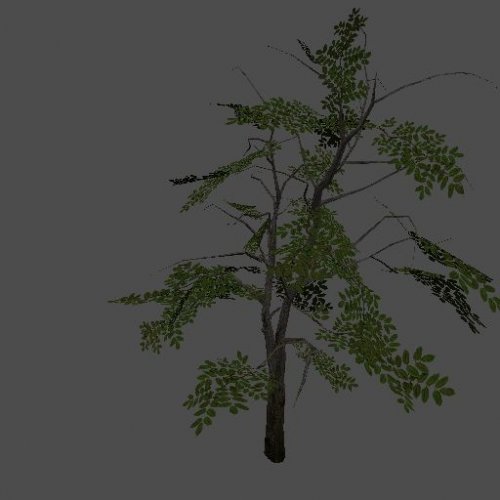 tree01