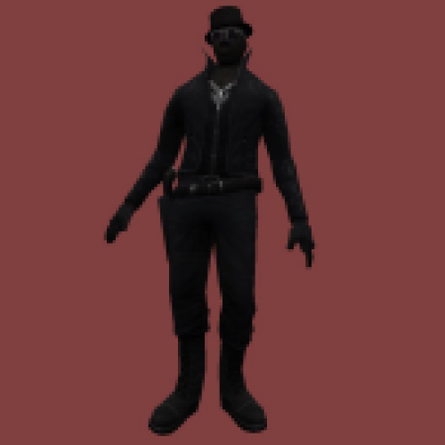 CSO Raven