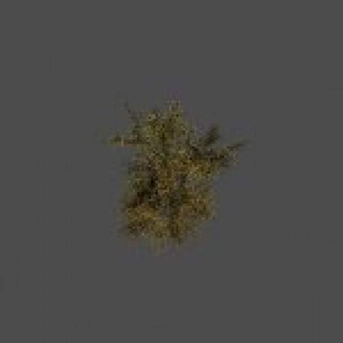 tree38
