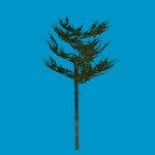 tree_b