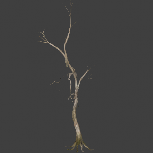 !tree_03