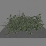 Mall_grass_bush01