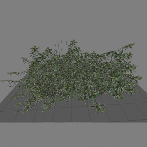 Mall_grass_bush01