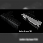 Sig Sauer P226 Black & White