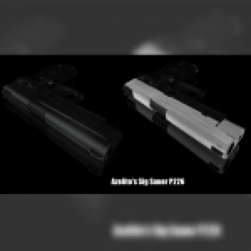 Sig Sauer P226 Black & White