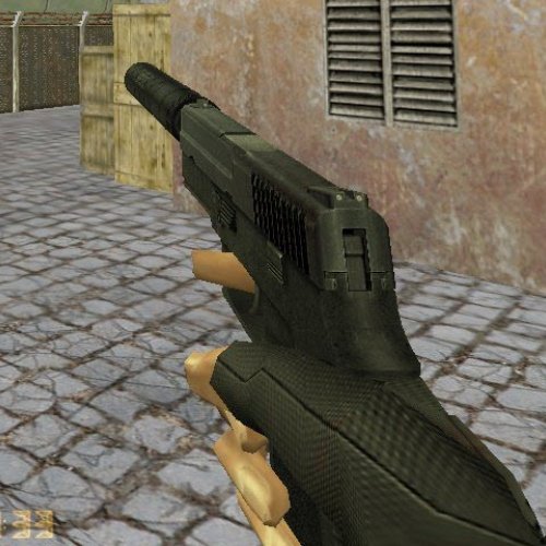 Kitteh s P250 DCc