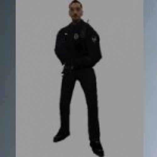 blitzcop