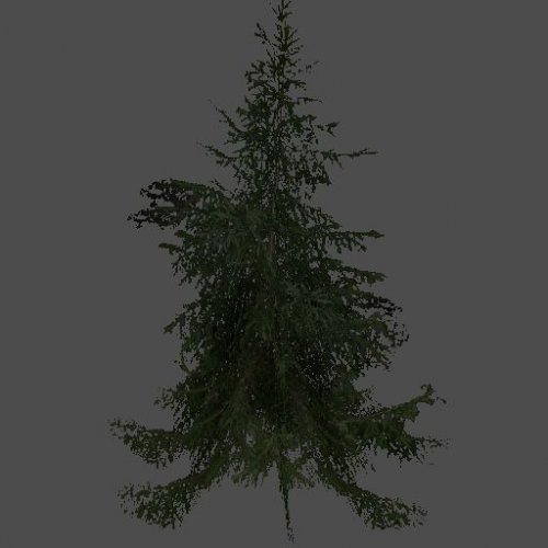 litengran1