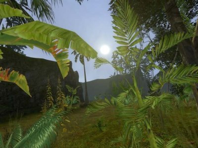 dod_jungle_b5
