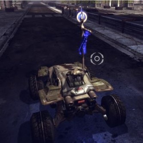 Vehicle Carry Flag