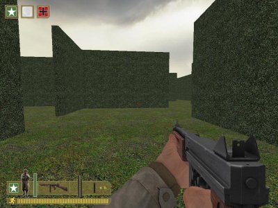 hedgemaze_v2