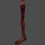 AF_leg_bitten