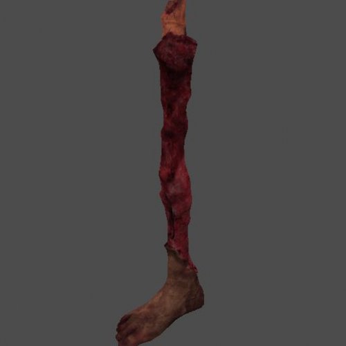 AF_leg_bitten