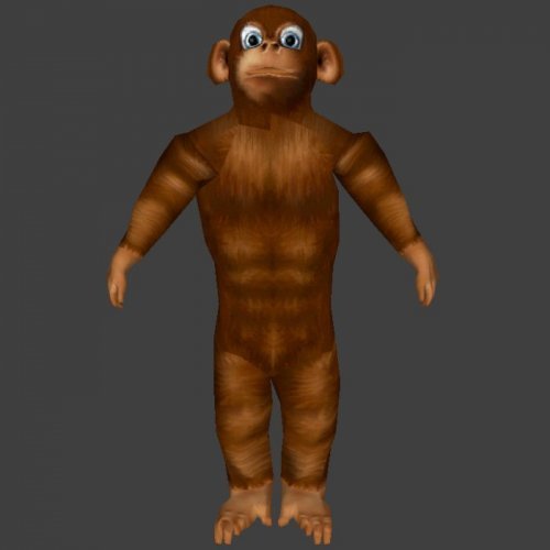 Monkey