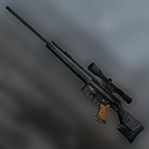 HK PSG-1