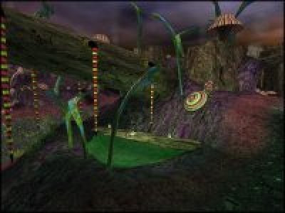 DM-Starfall