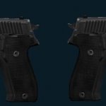 Dual P228 [elites]