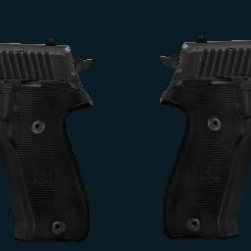 Dual P228 [elites]