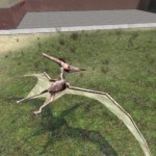 pteranodon