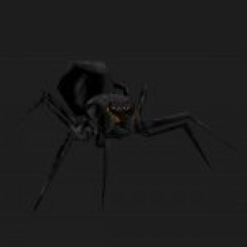 minispider.mdl