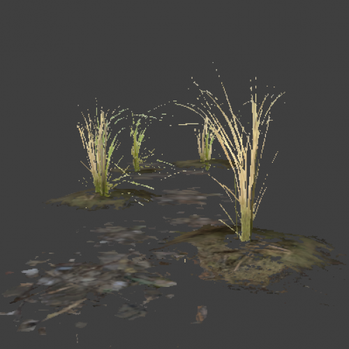 l10swamp_plant_group2