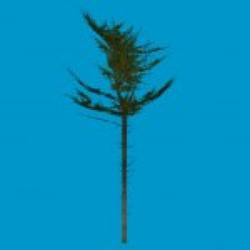 tree_a