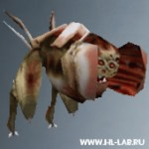 flybee.zip