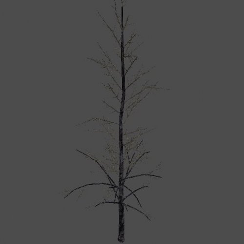 BurnedTree_A