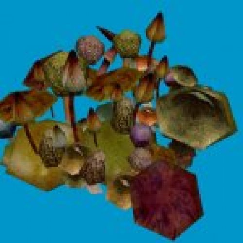 mushroom_clump_03