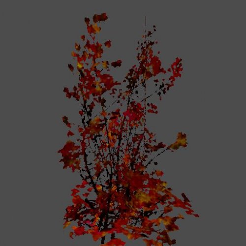 bush04