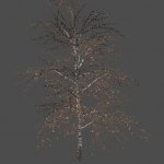 mex_bereza_yellow_4