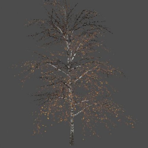 mex_bereza_yellow_4