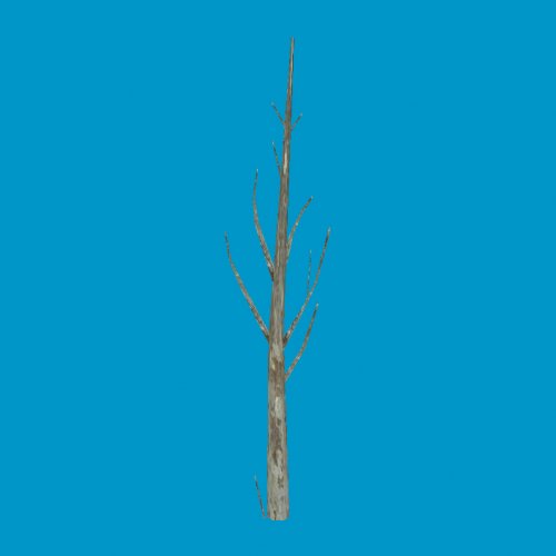 lowpoly_treetrunk3