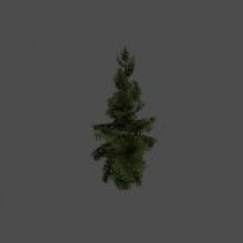 tree06