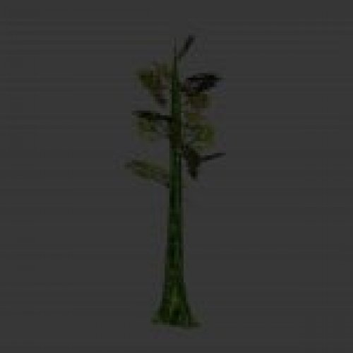 tree_junglev03.mdl