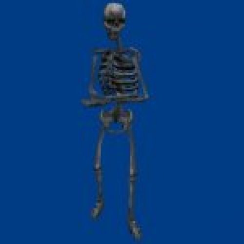 skeleton