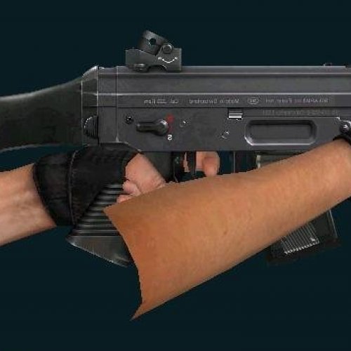 Hav0cs Clean Sig552