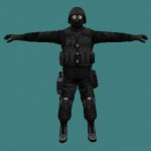 sas