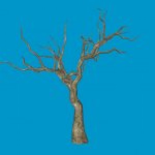 jn_eviltree_02