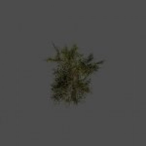 tree37