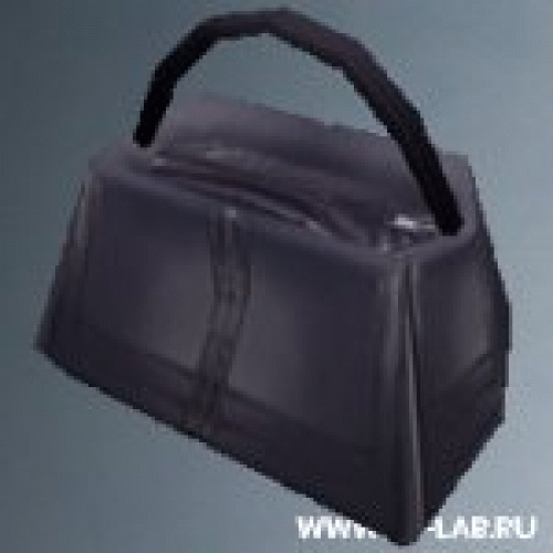 purse